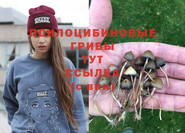 марки nbome Нефтекумск