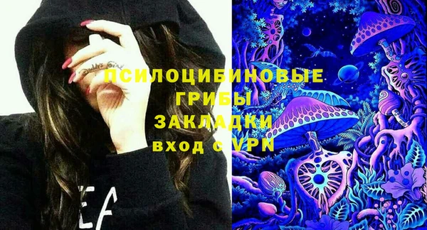 дурь Богданович