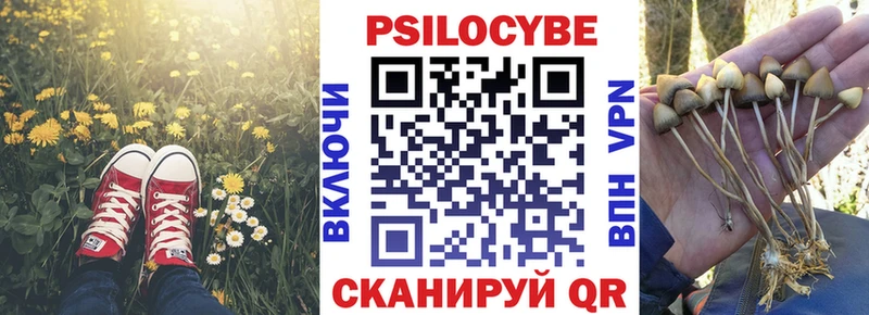 Галлюциногенные грибы прущие грибы  где продают   Старая Русса 